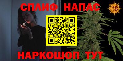 стаф Аргун