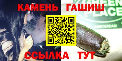 стаф Аргун