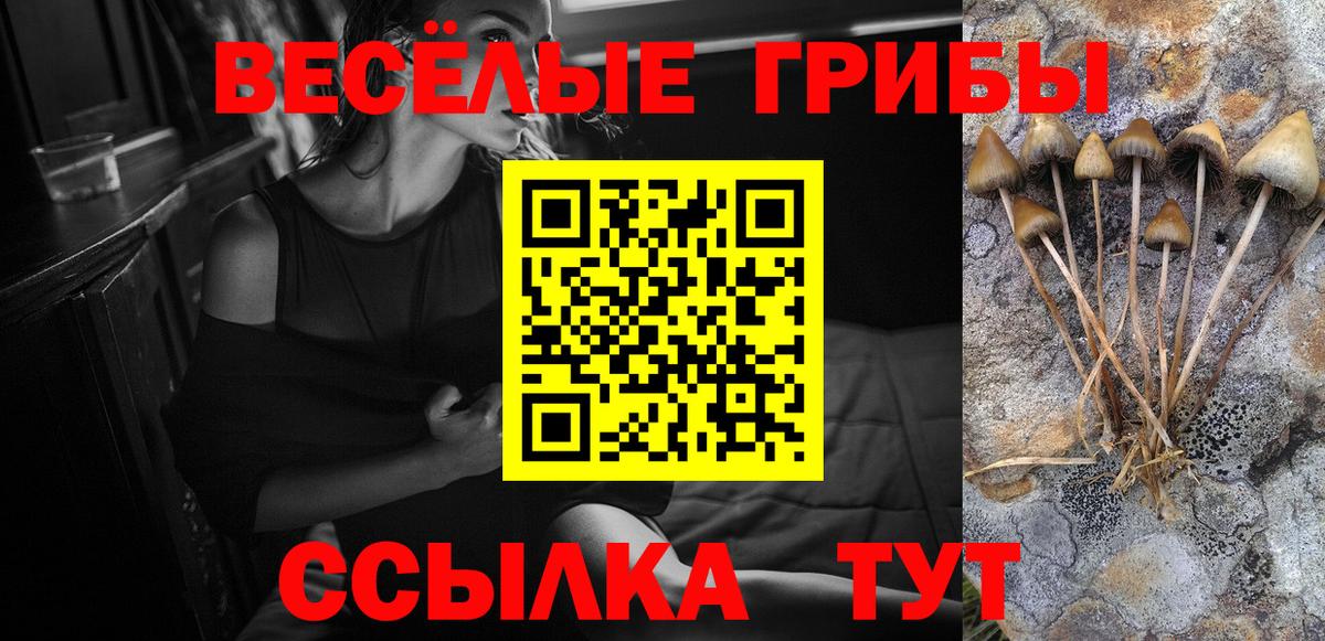 Псилоцибиновые грибы мицелий  Вход с VPN  Астрахань 