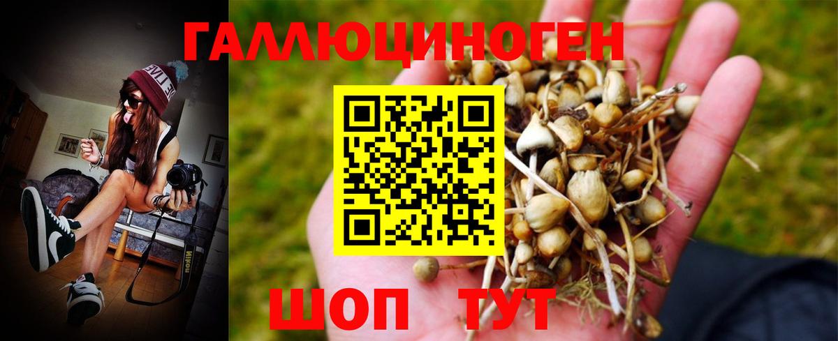 Псилоцибиновые грибы Magic Shrooms Астрахань